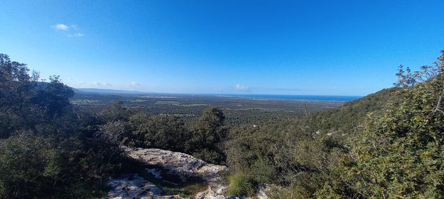 Ostuni: Guided e-bike tour + countryside tasting stop - Who This Tour Suits Best (and Who Might Want a Different Option)