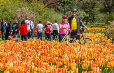 Ottawa: 2 or 3.5-Hour Guided Bike Tour with a Local Guide - Where the tour starts on Sparks Street (and why it’s a smart choice)