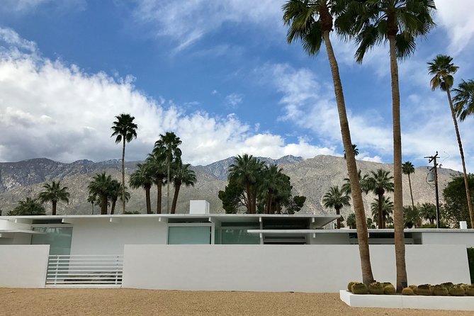Palm Springs Modernism Architecture & History Bike Tour - The Ride Pace: Flat Streets, Desert Reality, and Comfort Tips