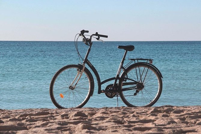 Palma de Mallorca Easy Bike Tour (Small Groups) - Price and Value: Getting Bikes, Tickets (Some), and an On-Time Return