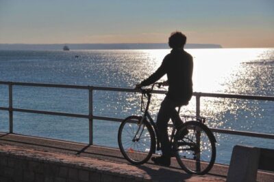 Palma de Mallorca Old Town Guided Bike Tour (Small Groups) - Lonja de Mallorca and the Columns You’ll Want to Photograph