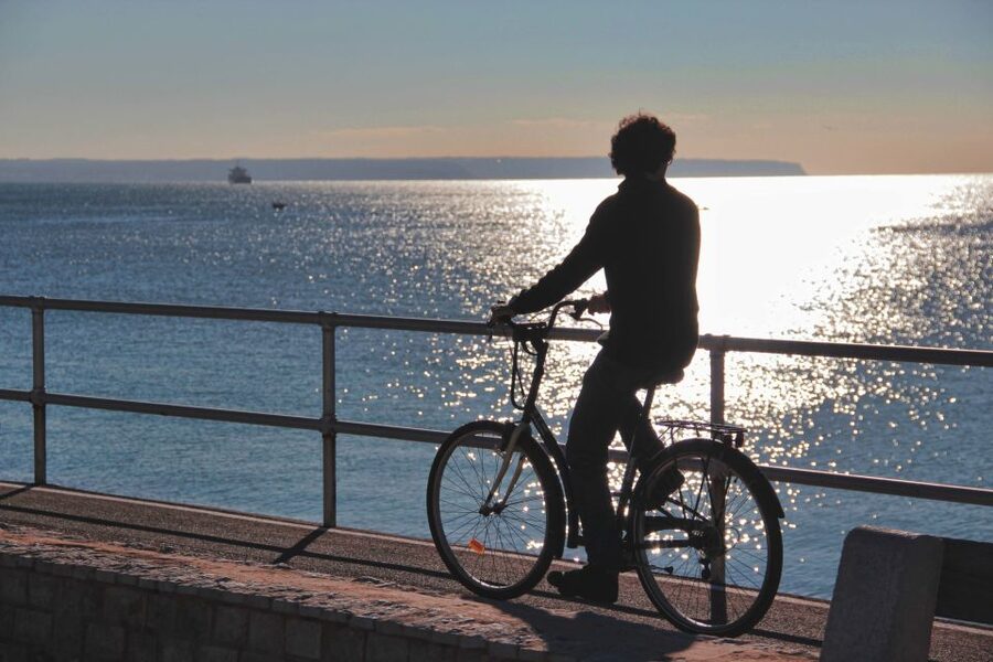 Palma de Mallorca Old Town Guided Bike Tour (Small Groups) - Lonja de Mallorca and the Columns You’ll Want to Photograph