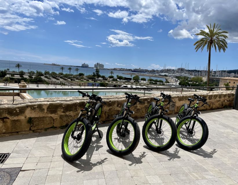 Palma: Guided City Tour with a Fat Tire E-Bike - The guides matter: Nina, Anna, Bruno, Tobias, and beyond