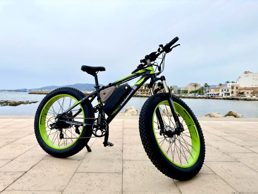 Palma: Guided City Tour with a Fat Tire E-Bike - Starting point at Palma Cathedral and Almudaina Palace