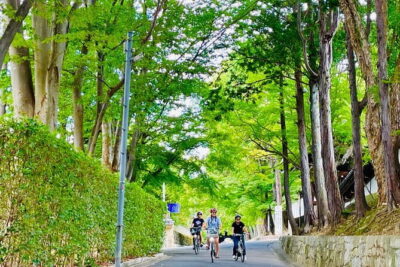 Pedal Adventure Kyoto's iconic landmarks on an e-bike tour - Meeting at 19 Shōgoin Higashimachi and getting comfortable fast