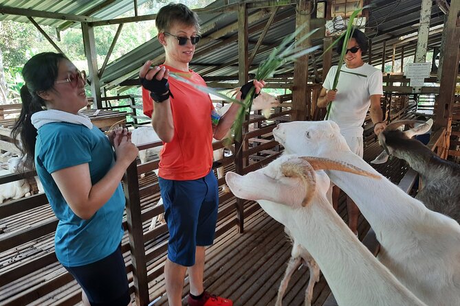 Penang Countryside Cycling Tour. PPA2 by Matahari - Penang’s rural ride: what you’re really getting in 4 hours