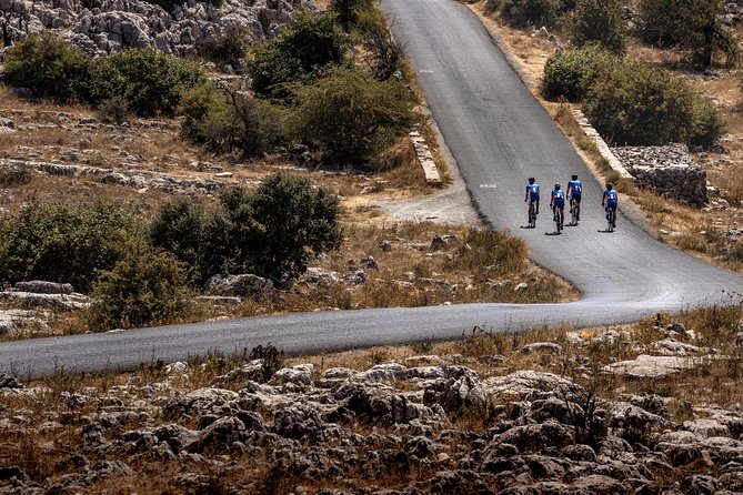 Personalised Road Bike Tour in Malaga - Carbon road bikes that fit you, not the other way around