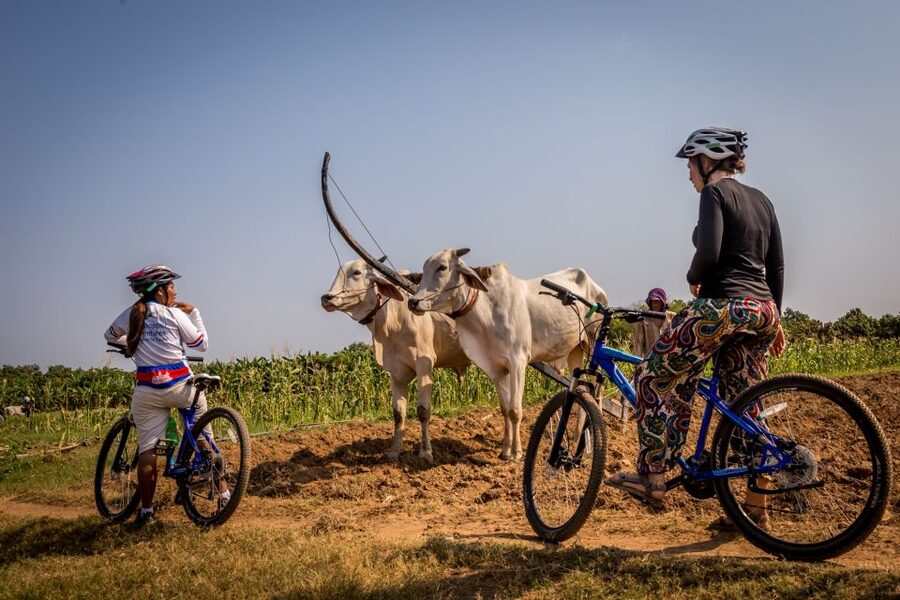 Phnom Penh: Mekong Islands & Silk Islands Guided Bike Tour - The cycling portion: 20–25 km of flat roads and village life