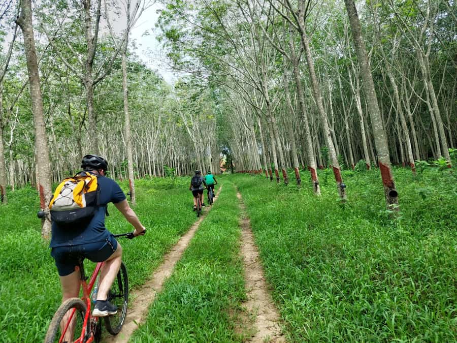 Phuket: Half-Day Countryside Cycling Tour with Lunch - Leaving the Beach Bubble: Why This Ride Feels Different