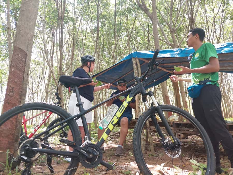 Phuket: Half-Day Countryside Cycling Tour with Lunch - Phuket Forest Nursery Station: A Calm First Stop (About an Hour)