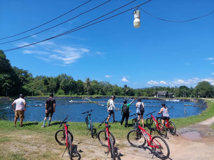 Phuket: Half-Day Countryside Cycling Tour with Lunch - Into the Bang Khanun Jungle: Dense Tropical Track Time