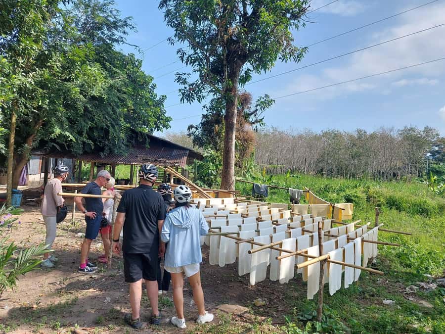 Phuket: Half-Day Countryside Cycling Tour with Lunch - Pineapple Fields and Quiet Tarmac: The Transition Into Laem Sai
