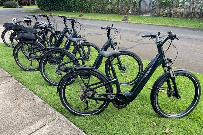Poipu and Koloa E-Bike Scenic Tour - A church stop and Prince Kuhio’s birthplace: the human side of Kauai