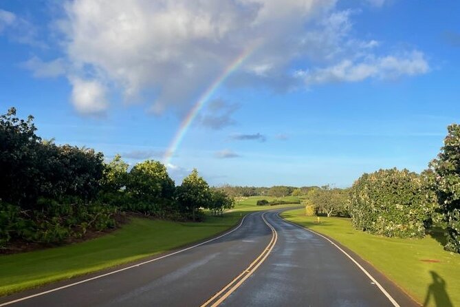 Poipu and Koloa E-Bike Scenic Tour - Guides and group flow: why the vibe stays relaxed