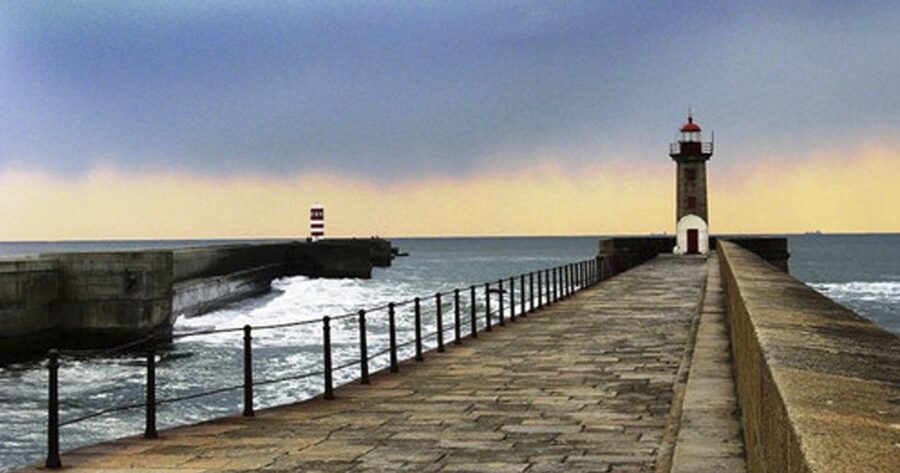 Porto: 3-Hour Bike Tour - Parque da Cidade do Porto to Pasteleira Park: parks that feel like breathing room