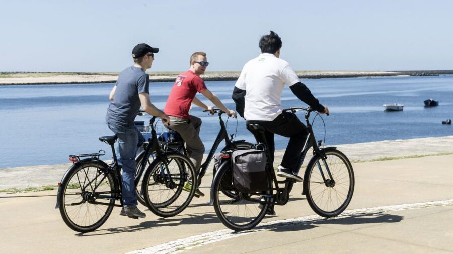 Porto: 3-Hour Bike Tour - City Park’s bike paths: when the route actually makes you happy