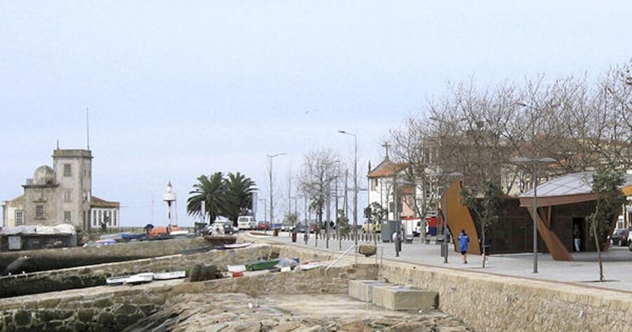 Porto: 3-Hour Bike Tour - Calém Garden and birdlife: a slower moment that feels local