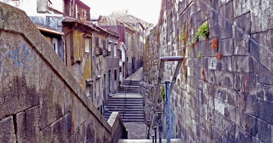 Porto: Private Bike Tour with a Local Guide - City Park riding: where the route stops feeling like a checklist