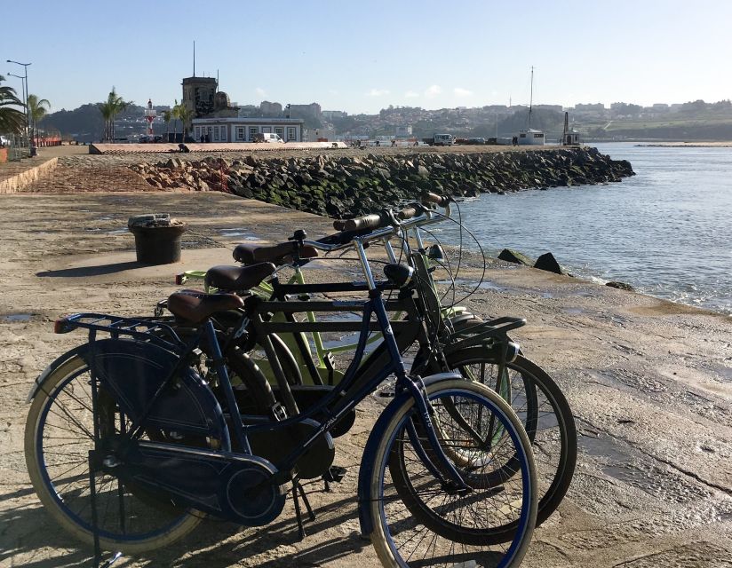 Porto: Riverside Panoramic E-Bike Tour - Back to the start: fast wrap-up and easy next steps