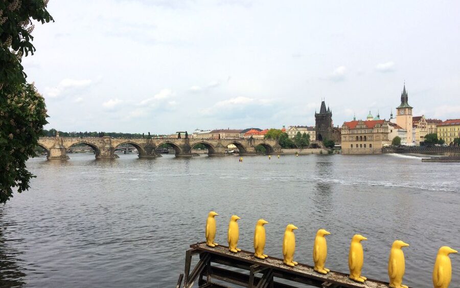 Prague: Classic City Bike Tour - Municipal House to New Town: Prague’s grand side right at the start