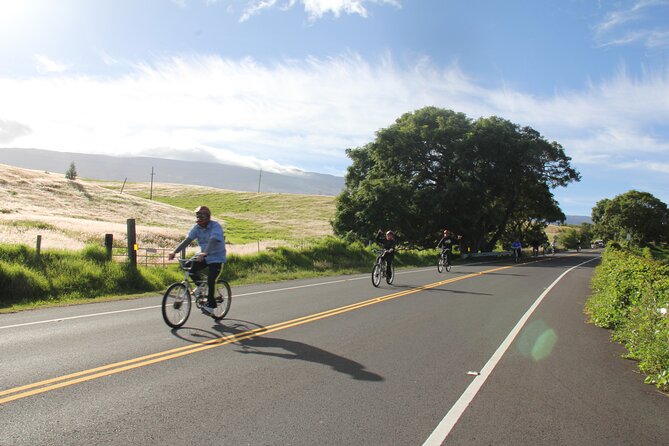 Predawn-Morning Haleakala Bike Tour 6,500 to Sea Level - Makawao town break: coffee time and a very specific pastry stop