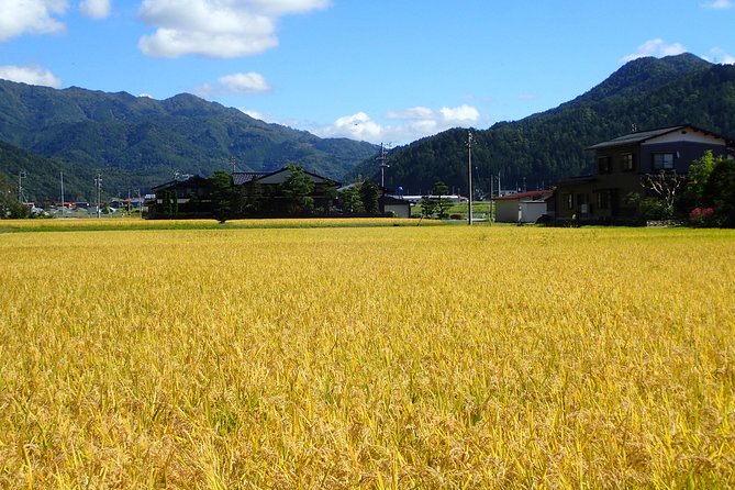 Private Afternoon Cycling Tour in Hida-Furukawa - Historic Streets to Farming Villages: What the Route Feels Like