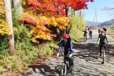 Private Afternoon Cycling Tour in Hida-Furukawa - Meeting Point: Start Easy, Then Roll Into Old Town