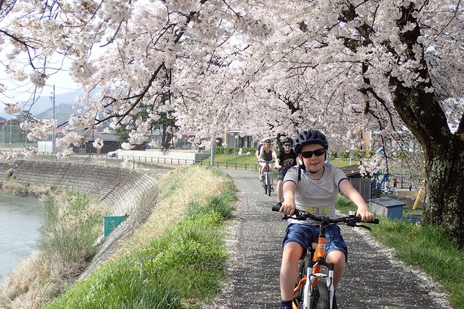 Private Afternoon Cycling Tour in Hida-Furukawa - What’s Included vs What You’ll Want to Add