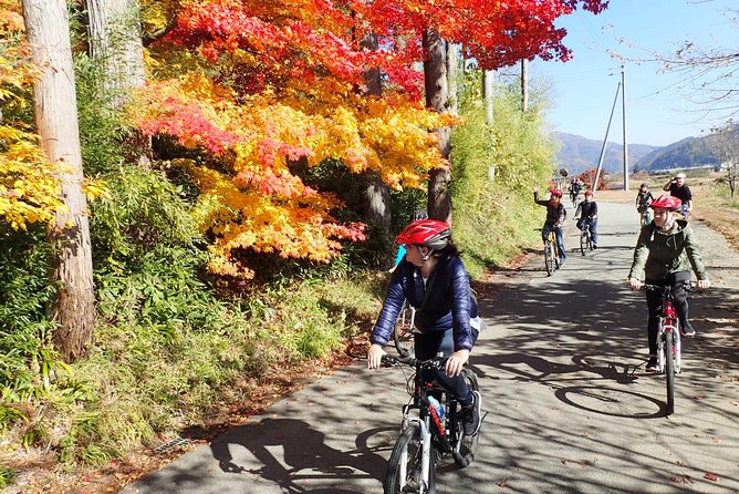Private Afternoon Cycling Tour in Hida-Furukawa - Meeting Point: Start Easy, Then Roll Into Old Town