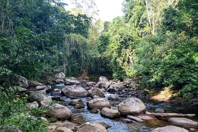 Private Bike Tour in Paraty - Key things that make this Paraty bike tour worth it