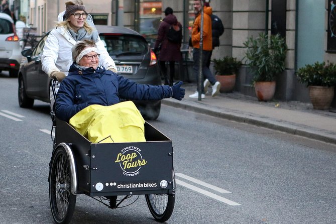 Private Copenhagen Family Cargo Bike Tour – Winter Adventure - Key highlights to expect