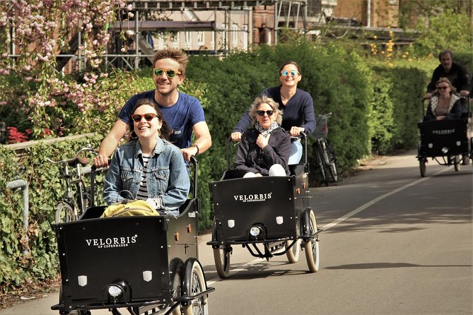 Private Copenhagen Family Cargo Bike Tour – Winter Adventure - Rosenborg Castle area: castles, art museum reach, and botanical calm