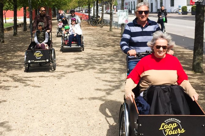 Private Copenhagen Family Cargo Bike Tour – Winter Adventure - Little Mermaid, Andersen’s real character angle, and waterfront perspective