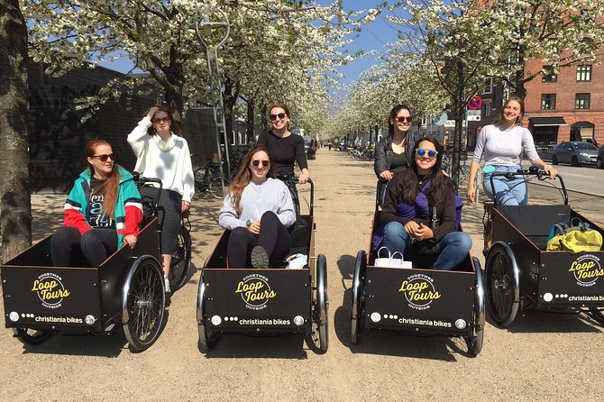 Private Copenhagen Family Cargo Bike Tour – Winter Adventure - St. Alban’s Church, Frederiksstaden, and the royal neighborhoods feel real