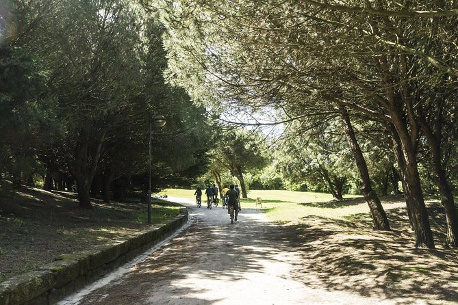 Private e-Bike Tour in Porto – Explore Riverside, Beaches & Parks - Matosinhos Beach and the big urban parks: a breather after the coast