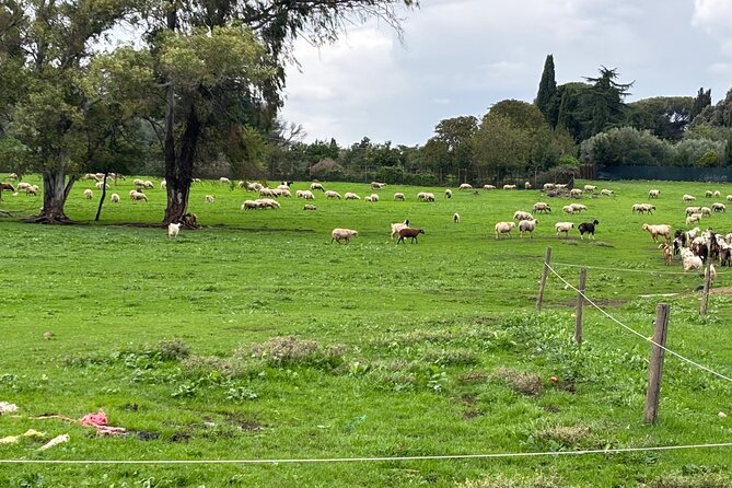 Private E-bike tour of Appian way, Aqueduct & catacombs with food - Porta San Sebastiano: Rome’s preserved gate, up close