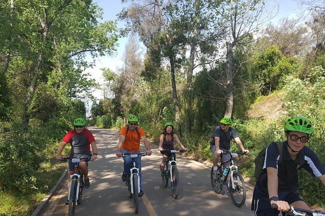 Private Full-Day Bike Tour of Santiago Cultural 5-6 hrs - Lastarria, Balmaceda Park, and Vitacura: the modern Santiago stretch