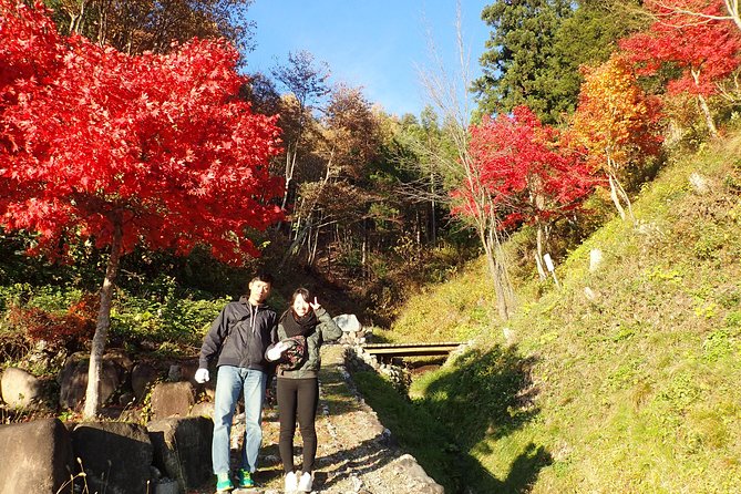 Private-group Morning Cycling Tour in Hida-Furukawa - The 22 km Route: How the Ride Is Built for Real Enjoyment