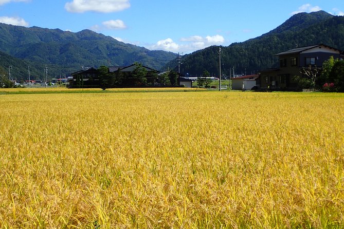 Private-group Morning Cycling Tour in Hida-Furukawa - Rice Paddies, Mountains, and the Slow Satisfaction of 3.5 Hours