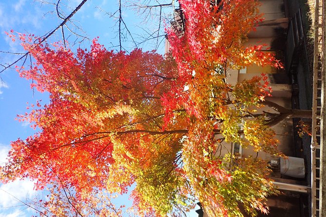 Private-group Morning Cycling Tour in Hida-Furukawa - When Weather Turns: Options and What to Do