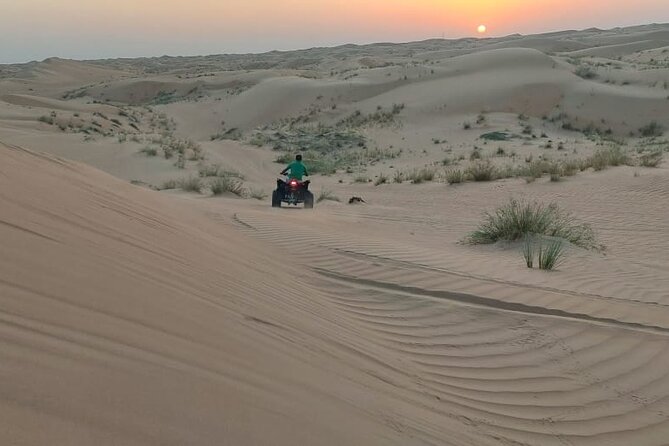 Private Quad Bike Tour through Deep Desert in Dubai - One Hour Through Dunes and Camel-Farm Country