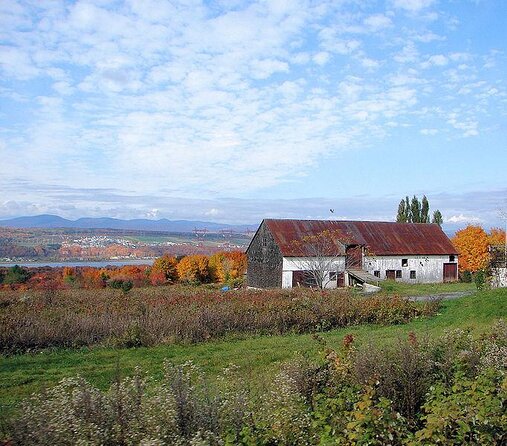 Quebec City - Guided E-Bike Tour & Tastings - Ile d'Orléans - Key Highlights I’d Plan Around