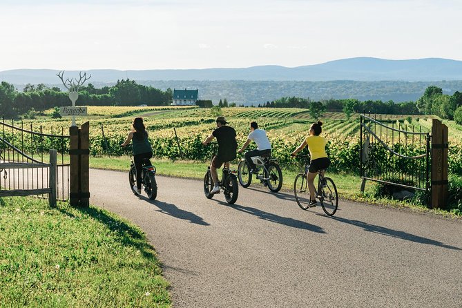 Quebec City - Guided E-Bike Tour & Tastings - Ile d'Orléans - Quebec City to Île d’Orléans: Why This E-Bike Tasting Tour Works