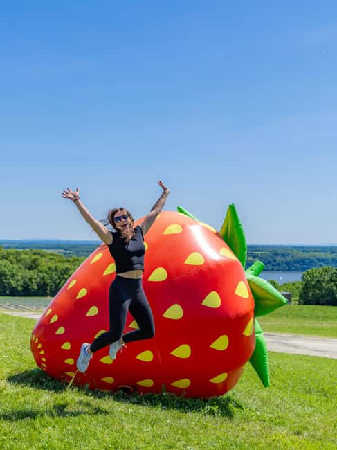 Quebec City: Ile d'Orléans Guided E-Bike Tour with Tastings - Getting started at Quebec Aventure Tours: e-bikes, helmets, and real confidence