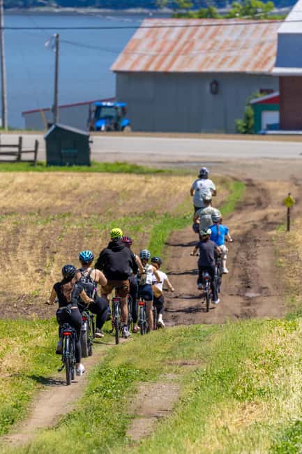 Quebec City: Ile d'Orléans Guided E-Bike Tour with Tastings - St. Petronille’s Chocolaterie stop: Belgian-style chocolate plus big river views