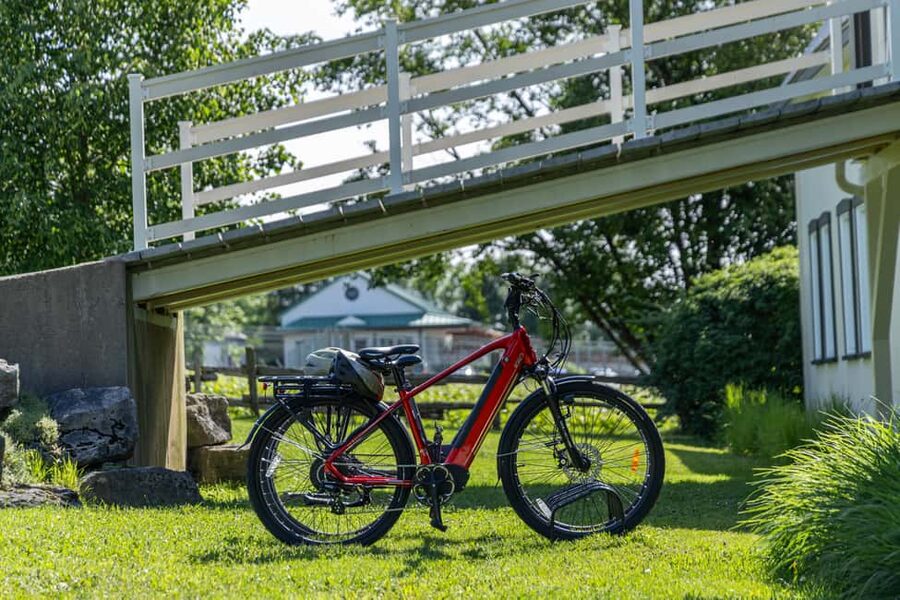 Quebec City: Ile d'Orléans Guided E-Bike Tour with Tastings - What it’s like in real life: pace, guides, and the group vibe
