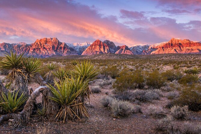 Red Rock Canyon eBike Half-Day Tour - Key Points at a Glance