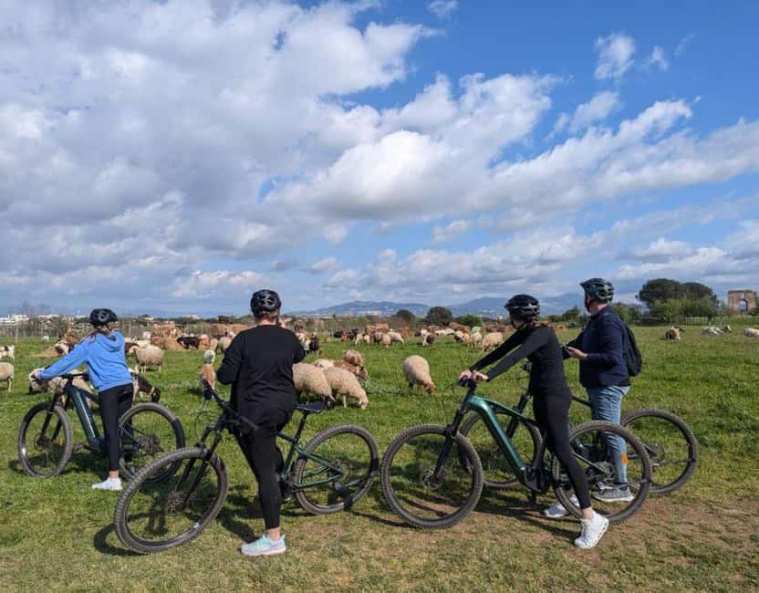Rome: Appian Way, Aqueducts, & Catacombs E-Bike Guided Tour - Value and Pricing: Why $86 Can Make Sense Here