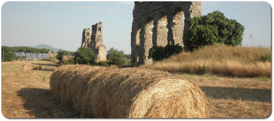 Rome: Appian Way E-Bike Tour Catacombs, Aqueducts & Picnic - Key things I’d circle before you book