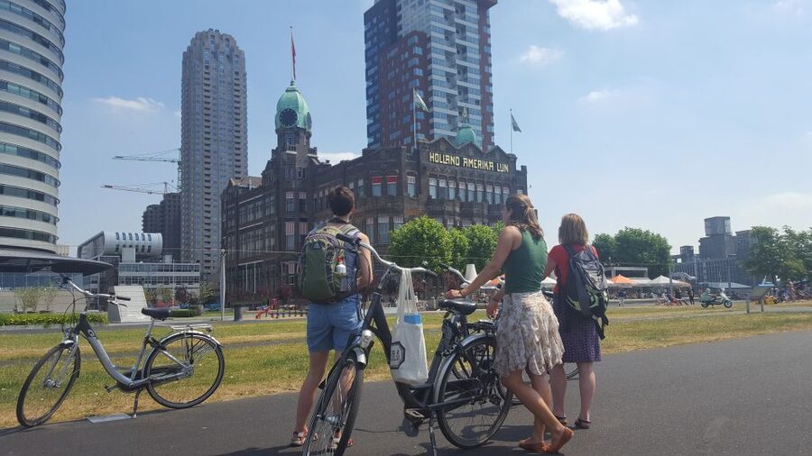 Rotterdam: City Highlights Guided Bike Tour - Price and value: why $53 feels fair here